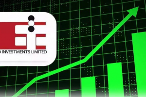 印度妖股Elcid Investments单日飙涨6692635%！但仍不及比特币