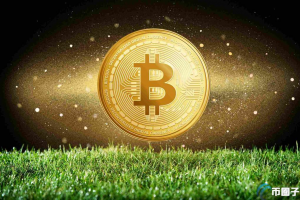 比特币最贵的时候多少钱一个